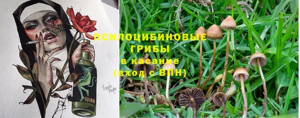 бошки Магадан