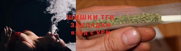 мдпв Гусь-Хрустальный