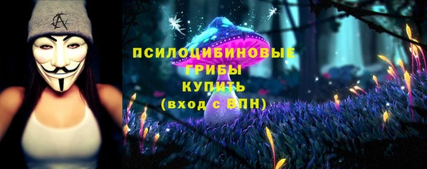 крисы Киров