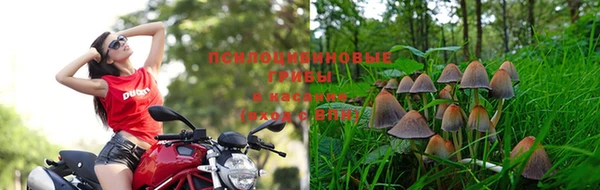 спайс Магас
