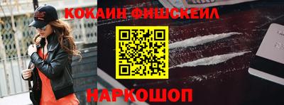 индика Гусев