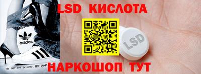 индика Гусев