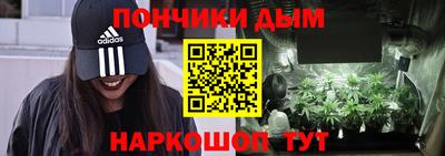 индика Гусев