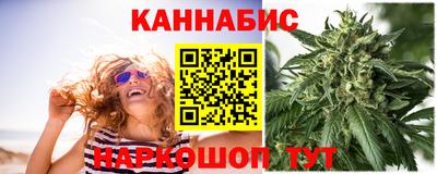 индика Гусев