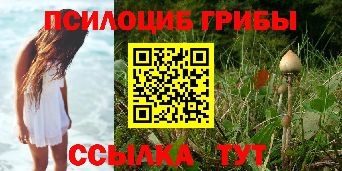 Псилоцибиновые грибы Cubensis  Вход с VPN  Лабинск 