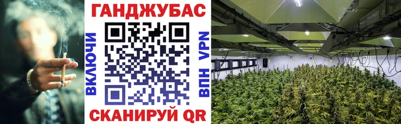 Марихуана марихуана как найти закладки Лабинск